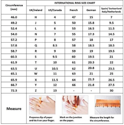 Endloser Liebesklee Ring