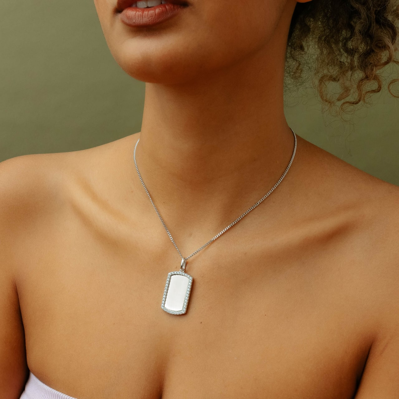 La etiqueta de perro de borde helado