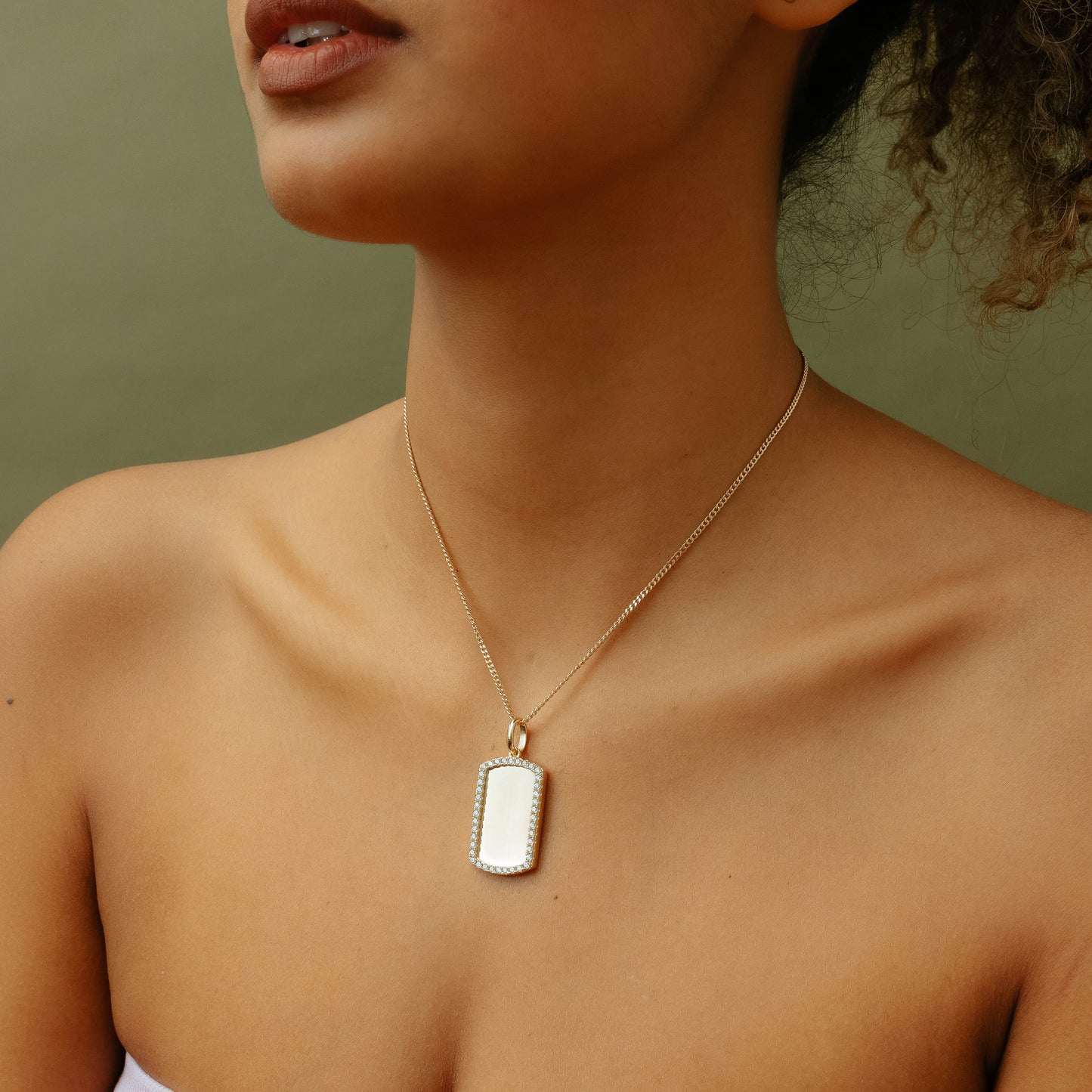 La etiqueta de perro de borde helado