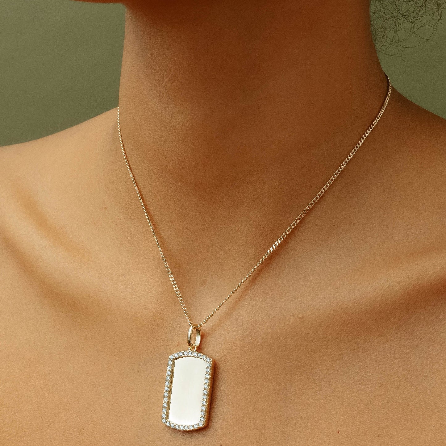 La etiqueta de perro de borde helado