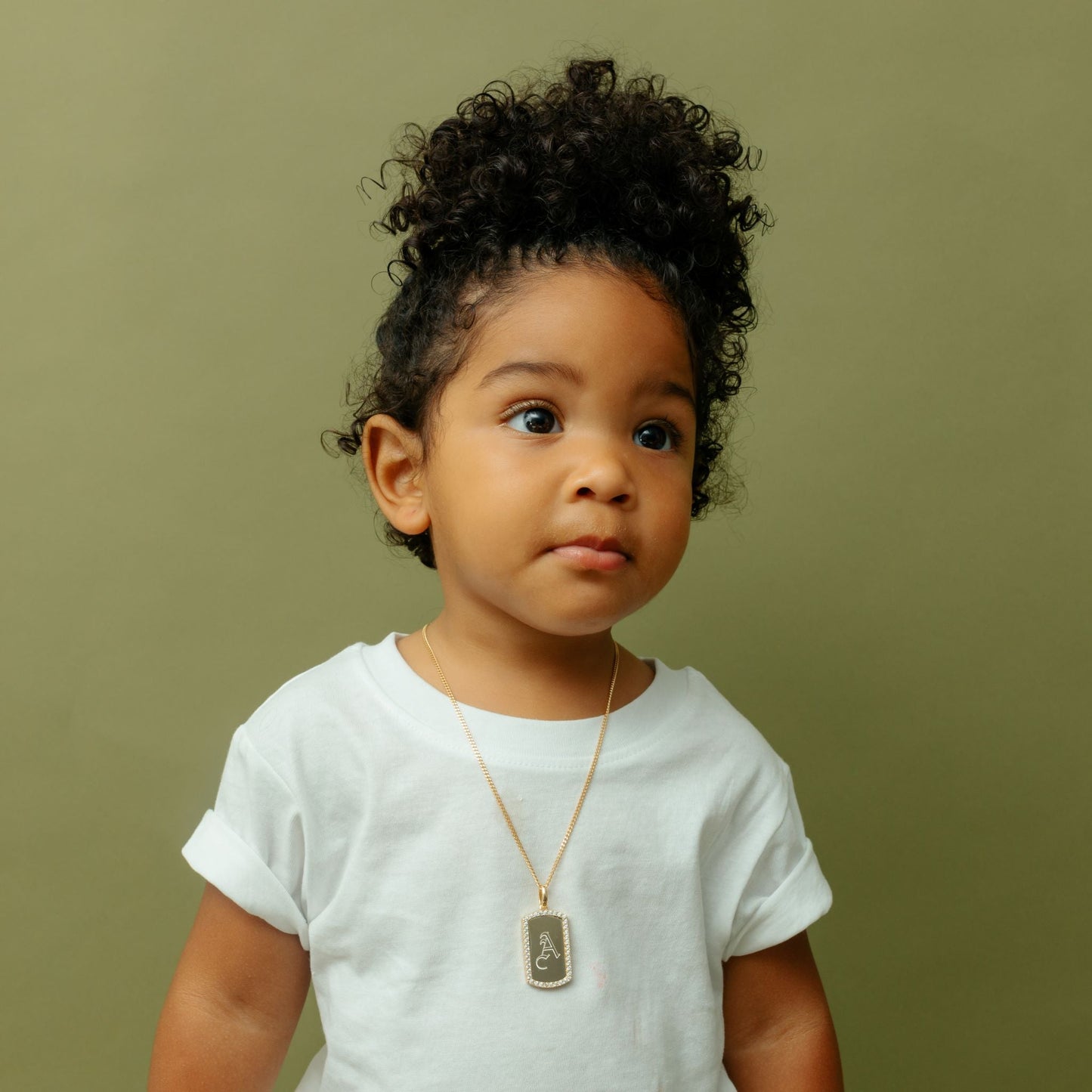 La etiqueta de perro de borde helado