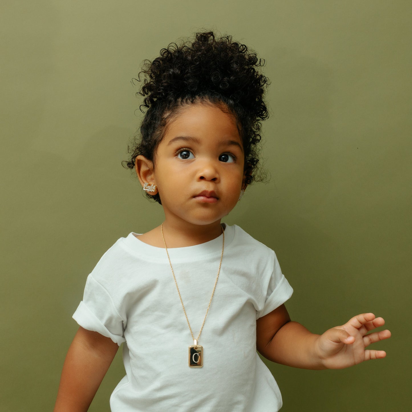 De vierkante hondentag