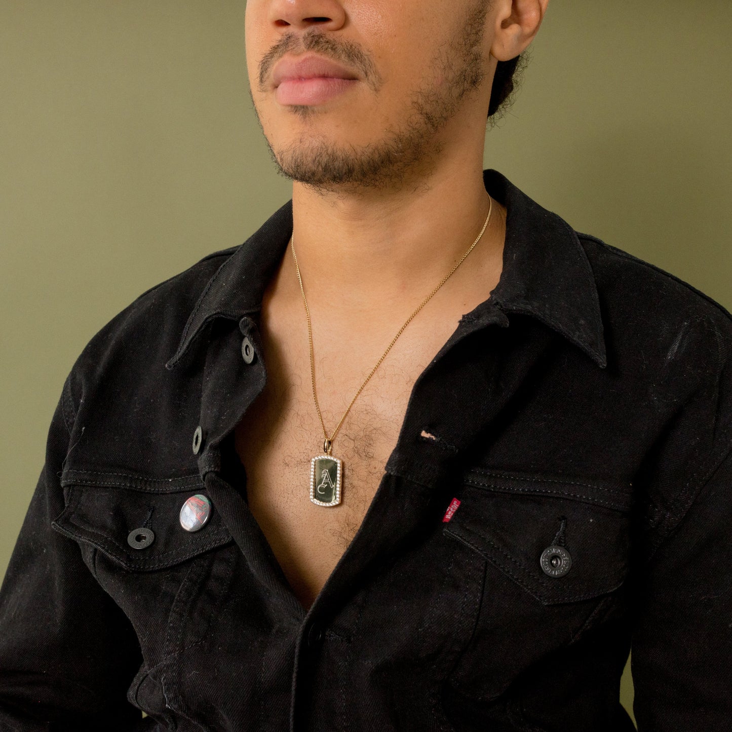 La etiqueta de perro de borde helado