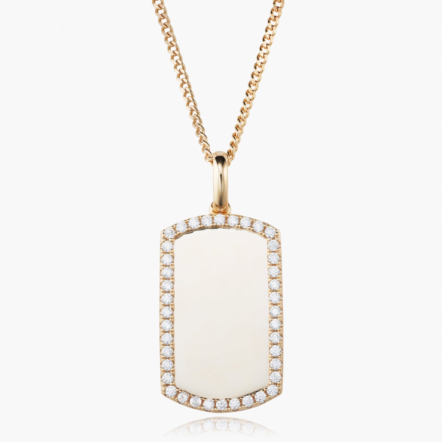 La etiqueta de perro de borde helado